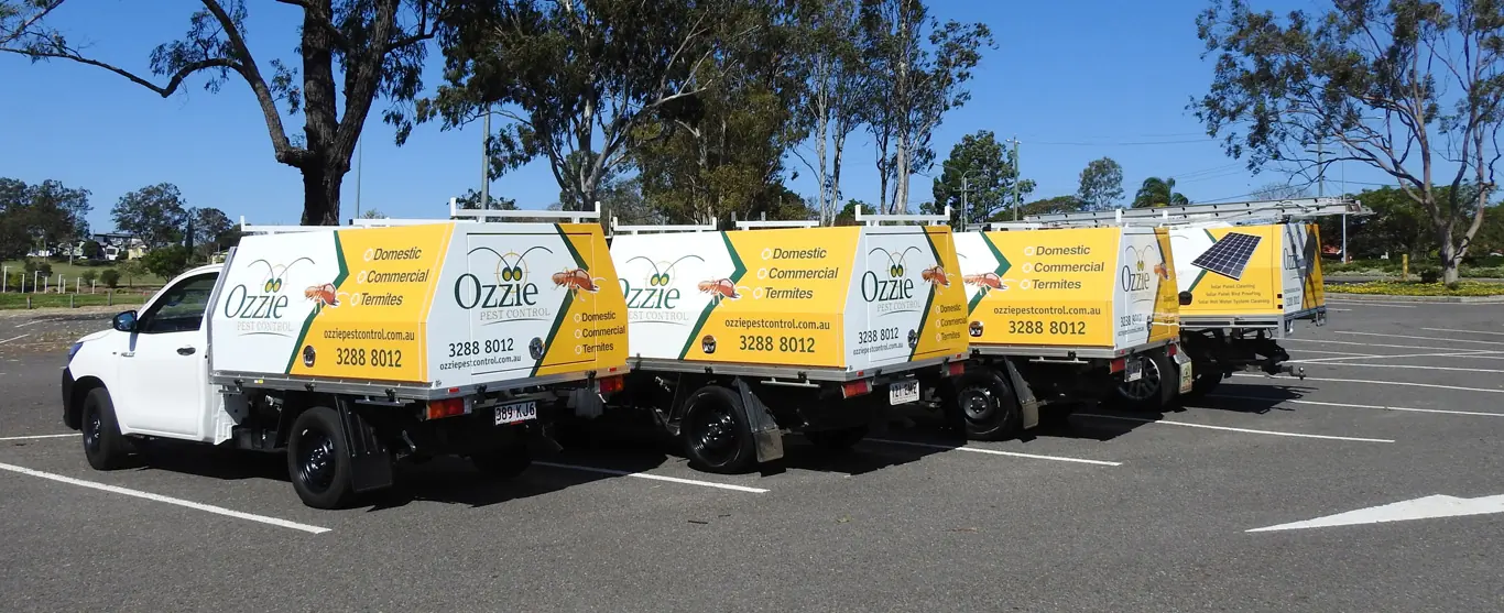 Four signwritten Ozzie Pest Control utes lined up in a car park