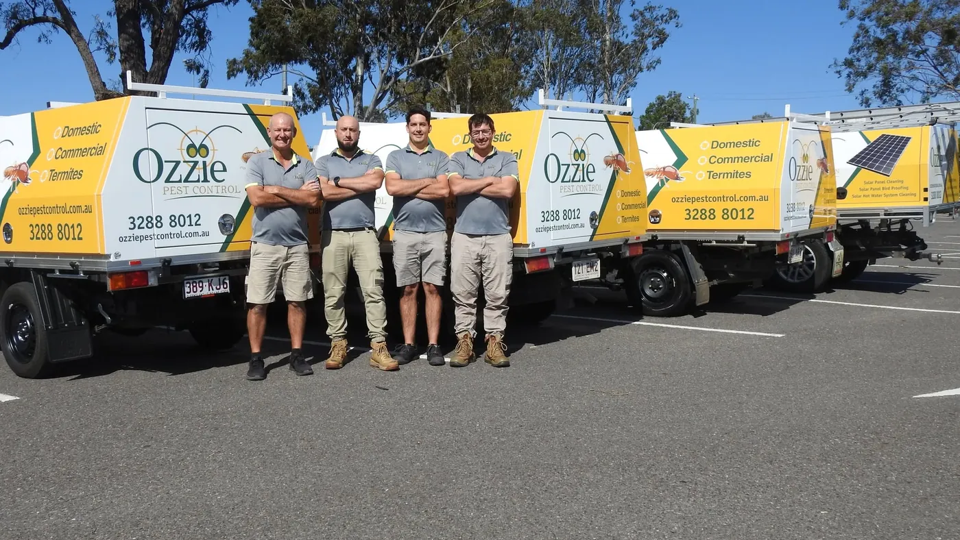 Four Ozzie Pest Control technicians standing with arms folded in front of four signwritten utes